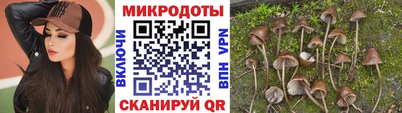 Галлюциногенные грибы мицелий  Покачи 